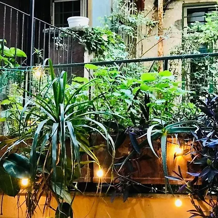 D-cube In Monti * Rome