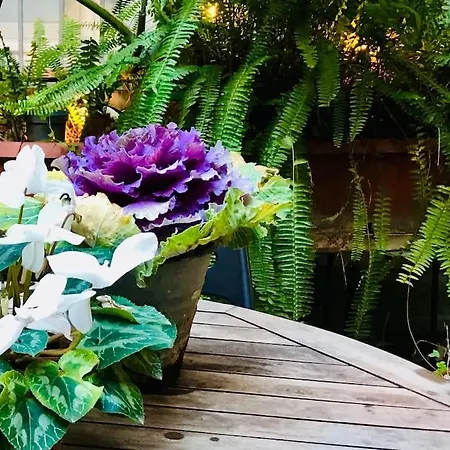 D-cube In Monti * Rome