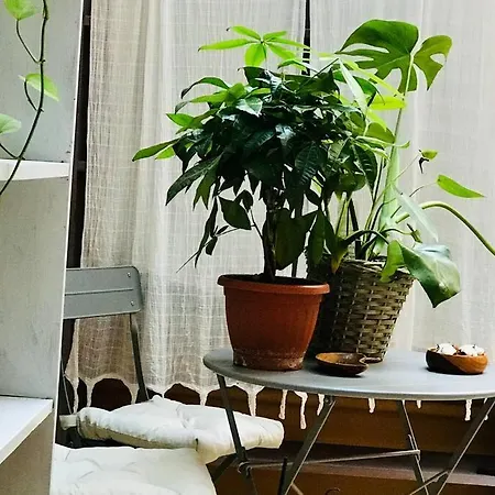 Appartement D-cube In Monti