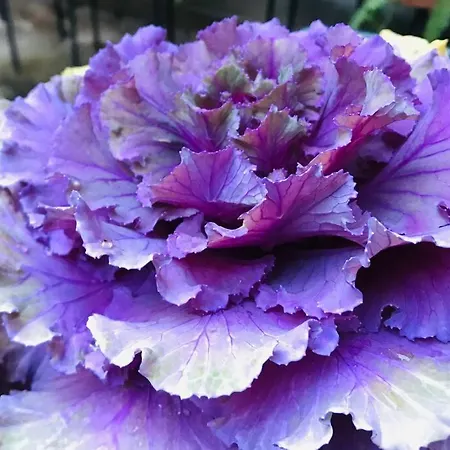 Appartement D-cube In Monti