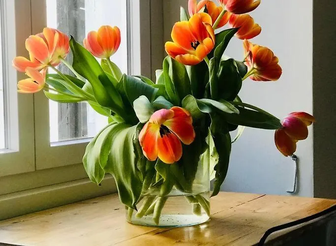 D-cube In Monti Apartament