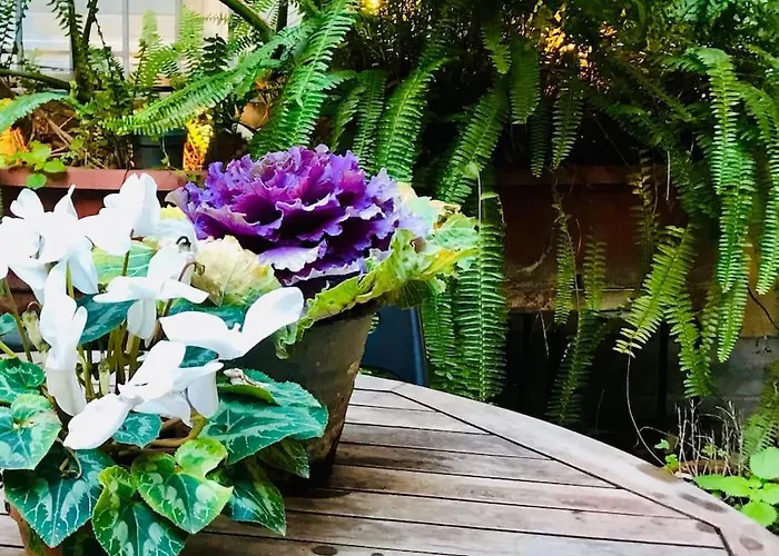 D-cube In Monti * Rzym