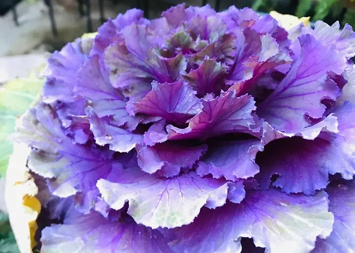 Apartament D-cube In Monti