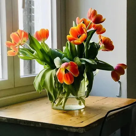 D-cube In Monti Apartman